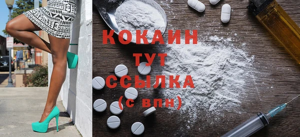 гидра Алексин