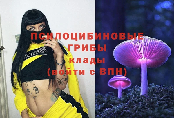 индика Абдулино