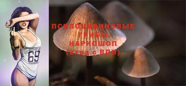 гидра Алексин