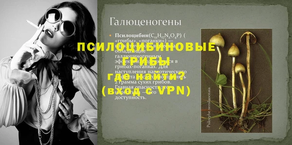гидра Алексин