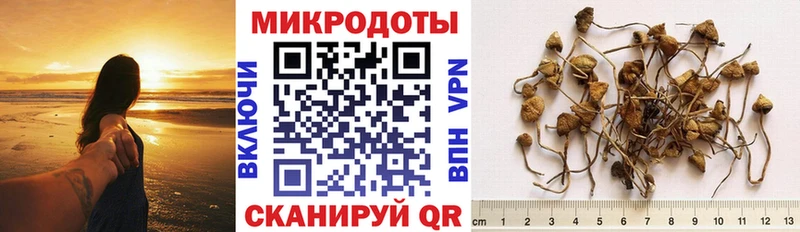 цены наркотик  Туринск  Псилоцибиновые грибы Psilocybine cubensis 
